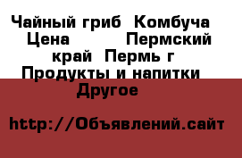 Чайный гриб (Комбуча) › Цена ­ 100 - Пермский край, Пермь г. Продукты и напитки » Другое   